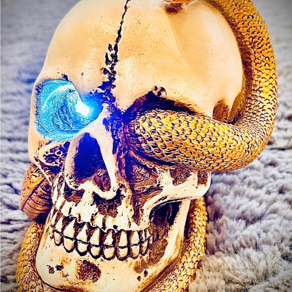 LED Skull with Gold Snake Decor